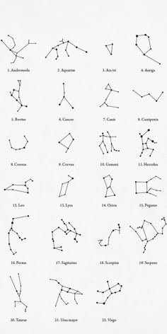 an image of zodiac signs and their names in black ink on white paper, with lines drawn across them