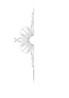 a black and white drawing of a sunflower on a sheet of paper with lines