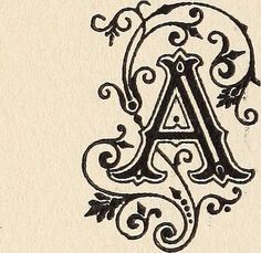 the letter a is decorated with swirls and leaves in black ink on white paper