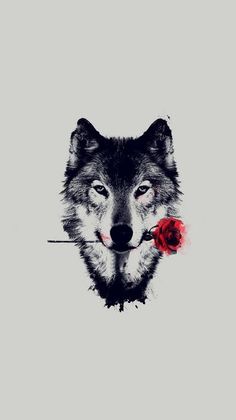 an image of a wolf with a rose in it's mouth and the sky behind it