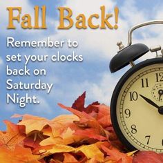 an alarm clock sitting on top of leaves with the words fall back written below it