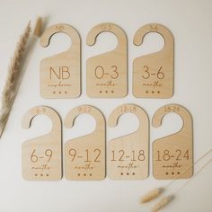 six wooden calendars with numbers on them next to a dried pamperant feather