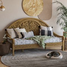 a cat laying on top of a bed in a bedroom next to a rug and potted plant