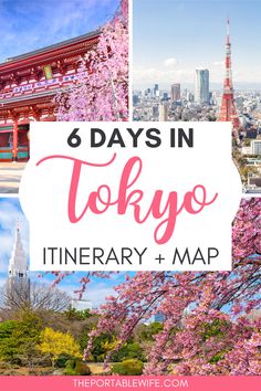 tokyo with cherry blossoms and the words 6 days in tokyo itinerary + map