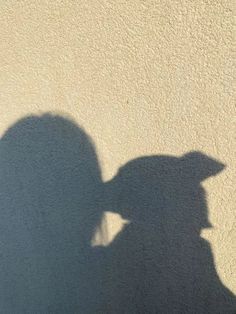 the shadow of a person wearing a hat