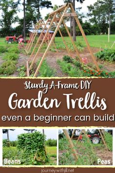 the garden trellis is an easy and cheap diy project for beginners to build