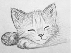 a pencil drawing of a kitten sleeping