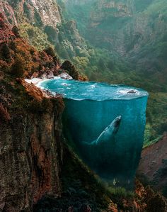 an underwater view of a body of water with mountains in the background and grass growing on both sides