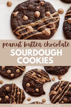 peanut butter chocolate sourdough cookies with drizzle on top and the words, peanut butter chocolate sourdough cookies