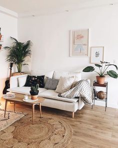 a living room filled with furniture and potted plants