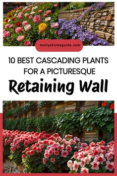 the words 10 best cascading plants for a pictureque retaining wall