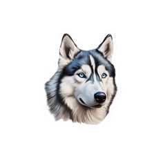 a black and white husky dog with blue eyes is shown in the shape of a sticker