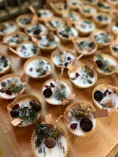 small desserts are arranged on a table with pine cones and evergreen needles in them