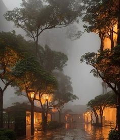 trees and buildings in the rain at night