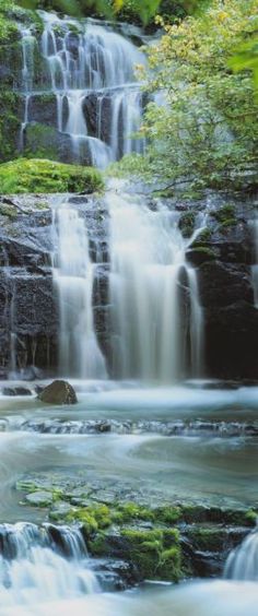 there is a large waterfall in the woods