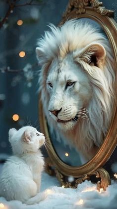 a white lion looking at its own reflection in a mirror while it's kitten sits next to it