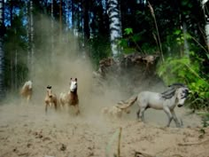 four horses are running in the dirt near some trees and bushes, with dust coming from them