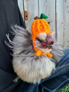 a close up of a person holding a small animal wearing a knitted pumpkin hat