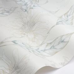 a white wallpaper with flowers and leaves painted on the back of it's surface