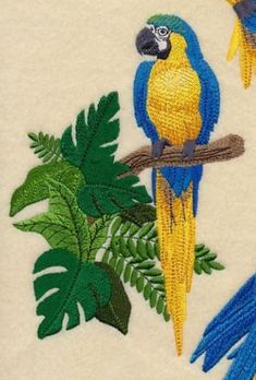 a blue and yellow parrot sitting on top of a tree branch next to green leaves