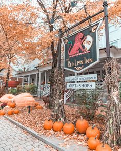 pumpkins are lined up in front of the red lion inn