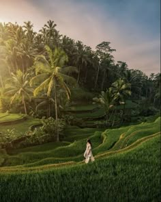 Beautiful Places in Indonesia For You Ubud Spa, Best Of Bali, Ubud Indonesia, Voyage Bali, Green Scenery, Rice Field, Bali Travel, Ubud