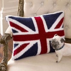 a small dog sitting on a chair next to a pillow with the british flag painted on it