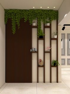 a room with some plants growing on the wall and shelves in front of it that are filled with potted plants