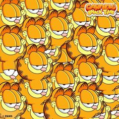 an image of garfield the cat wallpaper