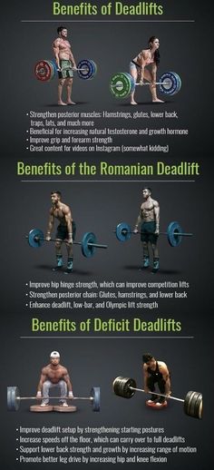 an info sheet describing the different types of muscles and how they are used to perform