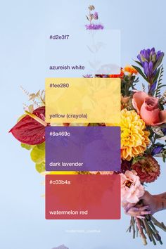 2024 Organic spring flower color palette inspiration | Branding design Cool Tone Colour Palette, Color Palette For Brand, Flower Color Palette, Watercolor Food Illustration, Color Theory Art, Innovative Logo, Color Design Inspiration, Hex Color Palette