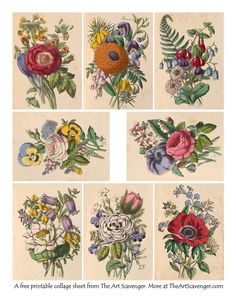 four different pictures of flowers with leaves and flowers on them, all in different colors