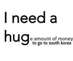 i need a hug e amount of money to go to south korea