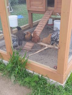 a chicken coop with chickens in it