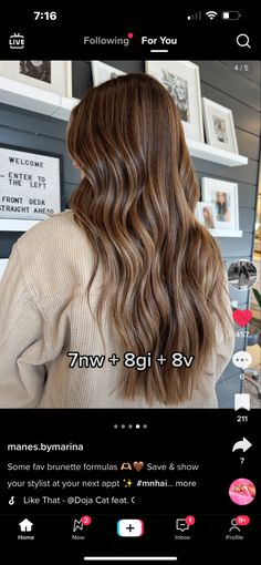 Shades Brunette Hair, Level Six Hair Color, 8nb Shades Eq, Blonde To Brunette Toner, Honey Toner For Blonde Hair, Natural Level 6 Hair, Caramel Dimensional Balayage, Light Brown Hair Color Formulas, Redken Shades Eq Formulas 8gn