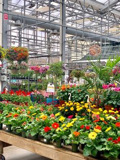 many different types of flowers are in the greenhouse