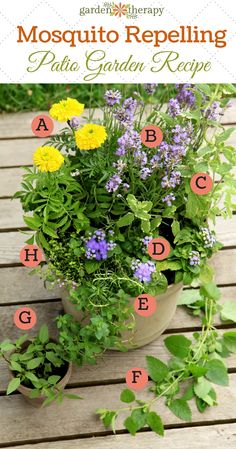 a potted plant sitting on top of a wooden table filled with flowers and herbs