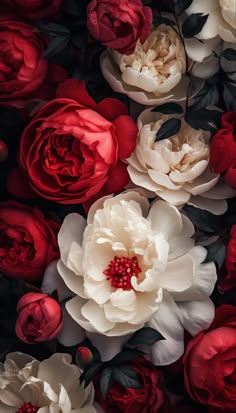 many red and white flowers are arranged together