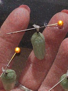 two fingers with pins attached to them and oranges on the thumb, in front of a mesh screen