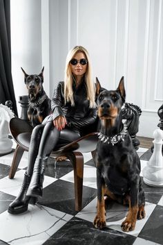 a woman sitting on top of a chair next to two dogs in front of her