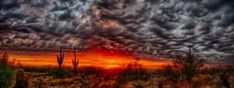 the sun is setting over some cactus plants