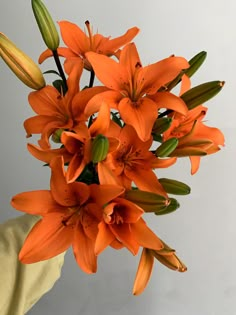 orange flowers are in a vase on a table