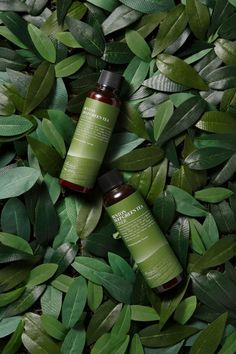 two bottles of green tea on top of some leafy plants with leaves around them