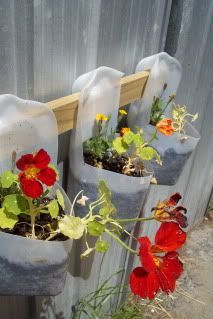 four cement planters with flowers in them on the side of a fenced area