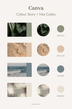 the color scheme for canva is shown here