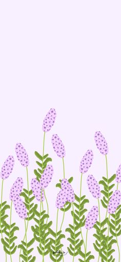 some purple flowers and green leaves on a pink background