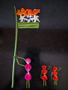 flowers are arranged in the shape of a flower head and tail on a black surface