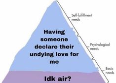 a triangle with the words having someone decide their undying love for me