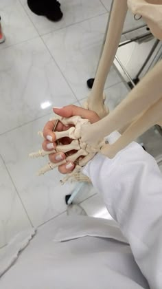 a person is holding a skeleton model in their hands