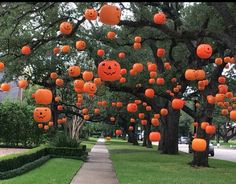 many orange pumpkins are hanging from trees in the park with faces drawn on them